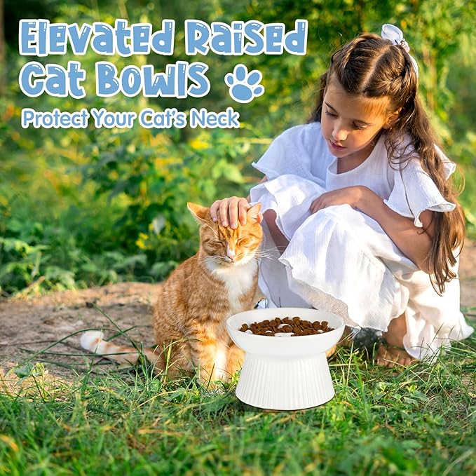 Tioncy 2 Pcs Raised Cat Slow Feeder Bowl Ceramic Elevated Cat Dog Food Bowl No Spill High Edge for Dry Wet Food and Water Easy to Clean, Dishwasher Safe(Dark Green, White)