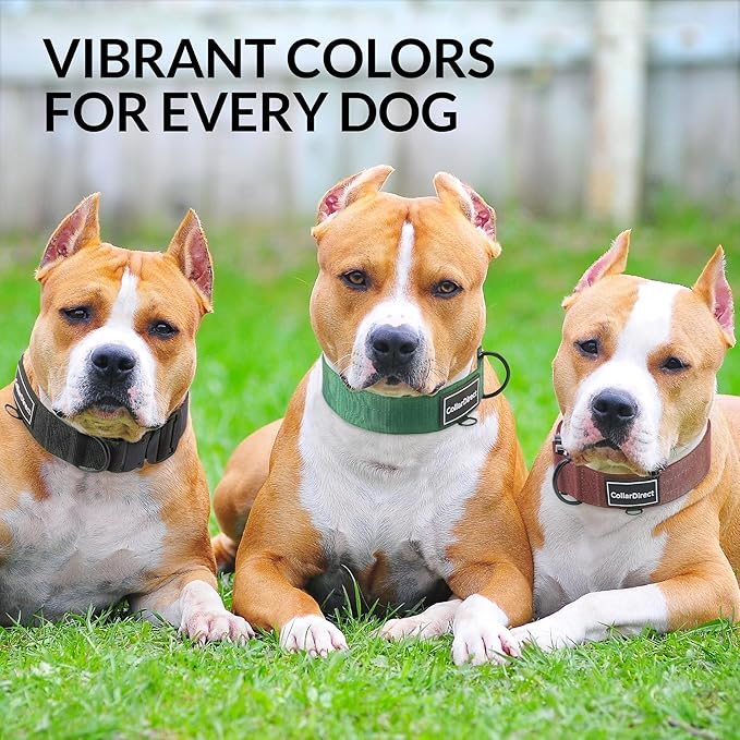Heavy Duty Dog Collar for Large or Medium Dogs, Adjustable Strong Dog Collar for Active Dogs, Double-Layered Nylon (Black, 14-20)