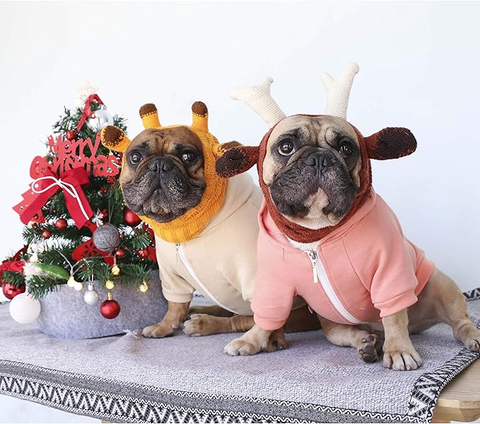 iChoue I am a French Bulldog Clothes Hoodies for Dogs Puppy Frenchie Pug English Boston Terrier Bully Pitbull Sweatshirt Sweater Clothing Cold Weather Winter Coats - Peach/Medium