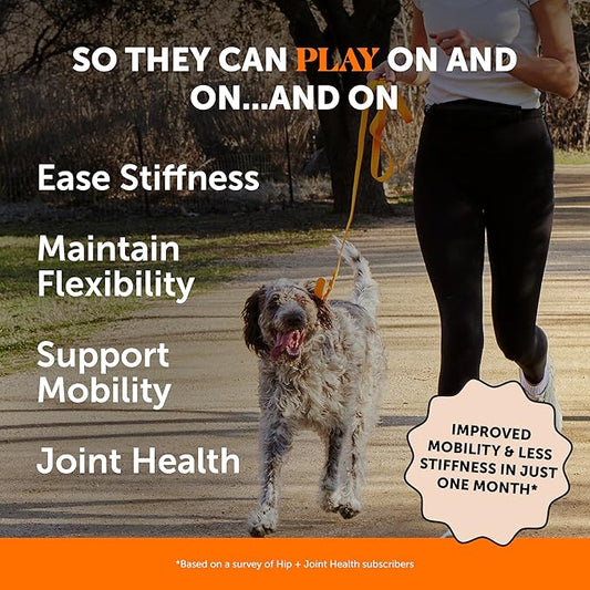 Pet Honesty Hip & Joint Health Soft Chews for Dogs, Joint Supplement with Glucosamine Chondroitin, MSM, Turmeric, Joint Support + Mobility, May Reduce Occasional Discomfort (Chicken 90 Count)