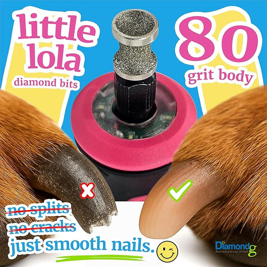 Diamondg Dog Nail Grinder Bit, 1 Pack - Compatible with Dremel, Diamond Bit for Pet Nails with 80 Grit Body & 120 Grit Polishing Bowl - Ideal for Small Dogs Under 30lbs., Standard Little Lola