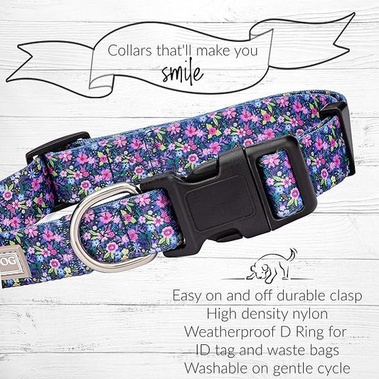 Lucky Love Dog, Matching Dog Collar & Leash Set for Female Dogs, Soft, Adjustable, Safe for Training and Walking, Black & Purple Floral Print, Primrose Combo, XS