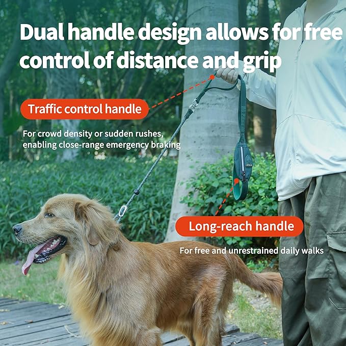 Dog Slip Lead Dog Leash, Heavy Duty No-Pull Training Leash w/Poop Bag Holder, Anti-Tangle, Multi-Handles & Reflective Thread for Medium, Large Dogs 5.5FT Black