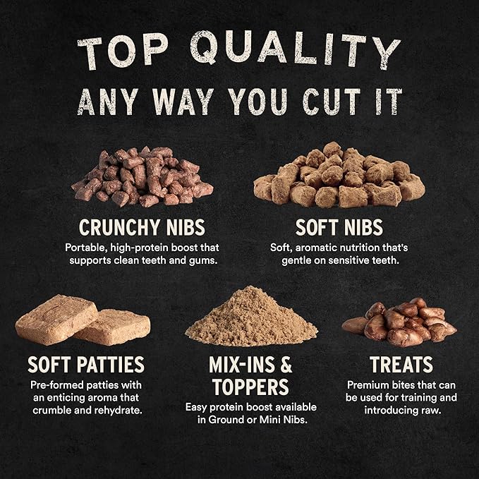 Vital Essentials Freeze-Dried Raw Beef Crunchy Mini Nibs | Complete Meal or Mixer Dog Food | 3 lbs Big Bag