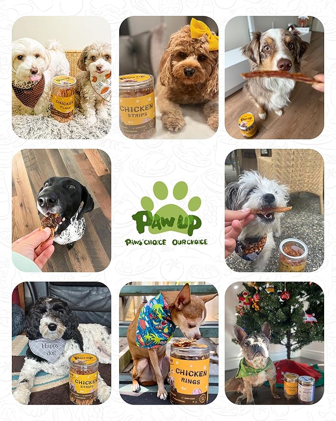 PAWUP Chicken Jerky Strips Dog Treats, Low Fat High Protein, Natural Chicken Dog Jerky, Training Treats for Small & Medium Dogs, 12.5 oz