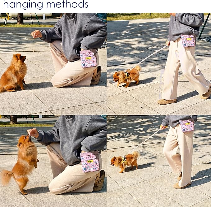 Dog Treat Pouch for Pet Walking and Training with Clicker 2 Cup Silicone Bag Small Fanny Pack Holder for Puppy Snack Dispenser Kit for Leash and Outdoor Use (Rainbow)