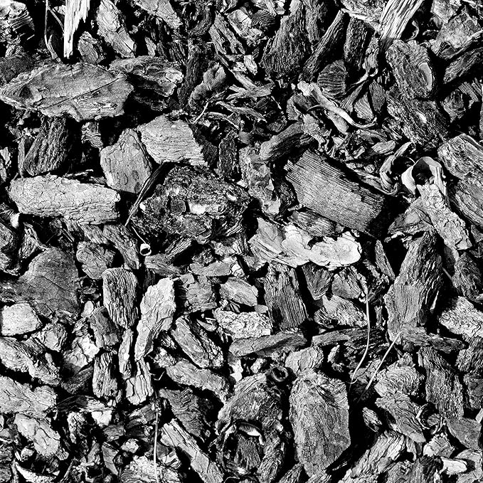 Char Bliss (1 Qt) - Organic Biochar for Plants - OMRI-Listed Biochar Soil Amendment Organic - Horticultural Charcoal for Plants, Gardening, & Potting Soil - 100% Natural and Renewable Bio Char