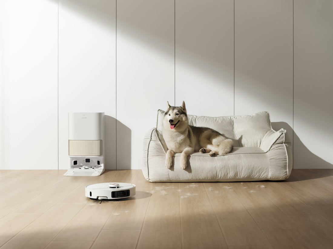 Soothing the Solitude: Managing Separation Anxiety with Scent and Play