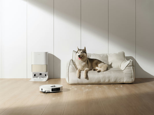 Soothing the Solitude: Managing Separation Anxiety with Scent and Play