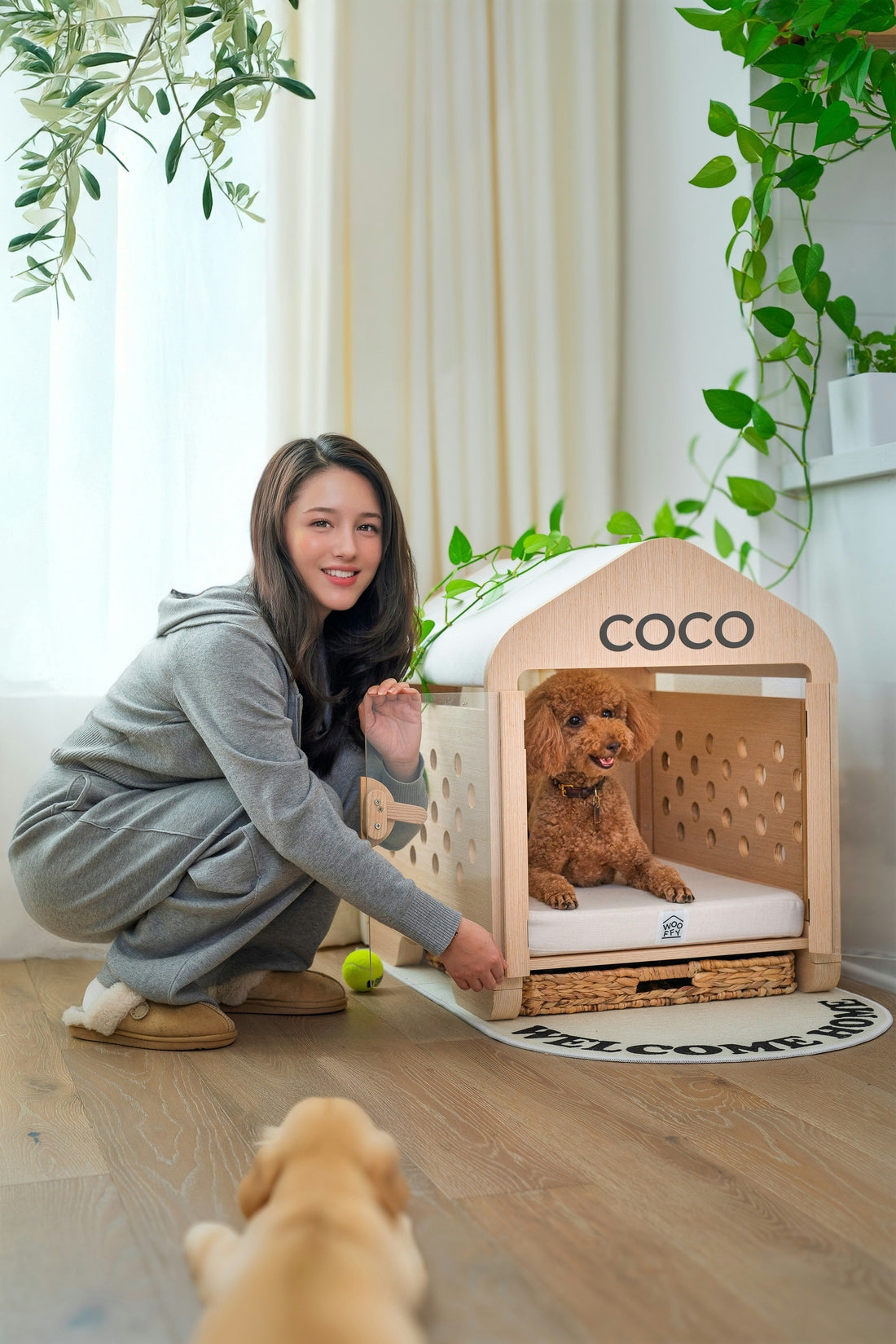 Beat the Boredom: Best Indoor Enrichment Ideas for Your Dog