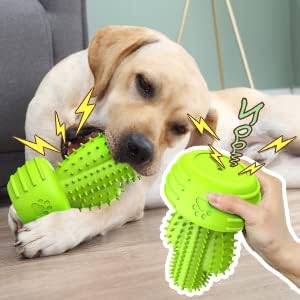 Dog Chew Toys & Teeth Cleaning Brush - Dental for Small, Medium & Large Dogs, Rubber Squeaky Toys for Aggressive Chewers, Cactus Tough Toys