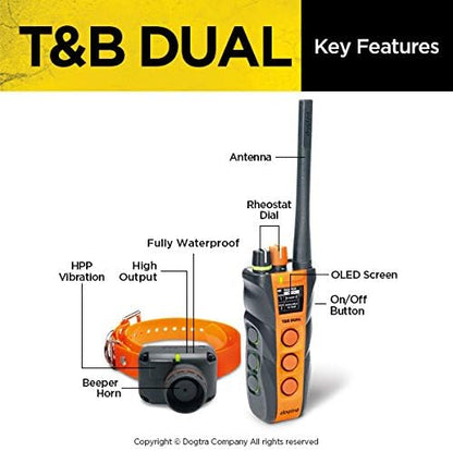 Dogtra T&B Dual Dial 1-Dog Remote Training and Beeper Collar - 1.5-Mile-Long Range, Sports Upland Hunting, Fully Waterproof, Rechargeable, Static, Locate - Includes PetsTEK Trainer Clicker