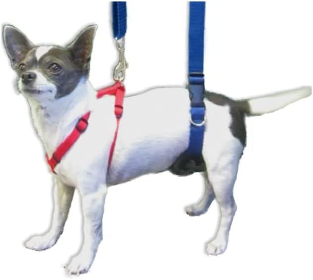 GINGERLEAD Dog Support Sling Harness, X-Small Fits Little Pets Under 25 lbs or Dachshunds with IVDD, Spinal Disc Disease, or Back Injuries. Assist Old or Recovering Pets. Chest Harness NOT Included.