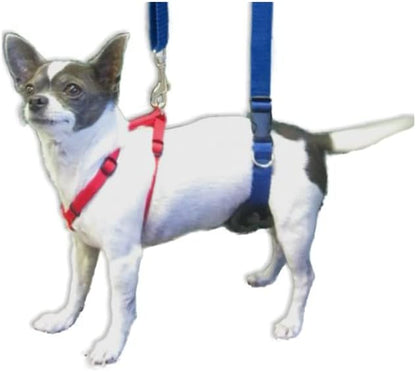 GINGERLEAD Dog Support Sling Harness, X-Small Fits Little Pets Under 25 lbs or Dachshunds with IVDD, Spinal Disc Disease, or Back Injuries. Assist Old or Recovering Pets. Chest Harness NOT Included.