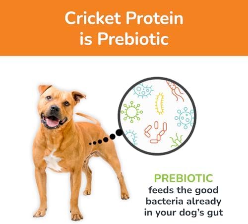 Jiminy's Chewy Cricket Training Treats for Dogs, Low Calorie, Hypoallergenic, Made in USA, 6oz, Pumpkin & Carrot (Pack of 3)