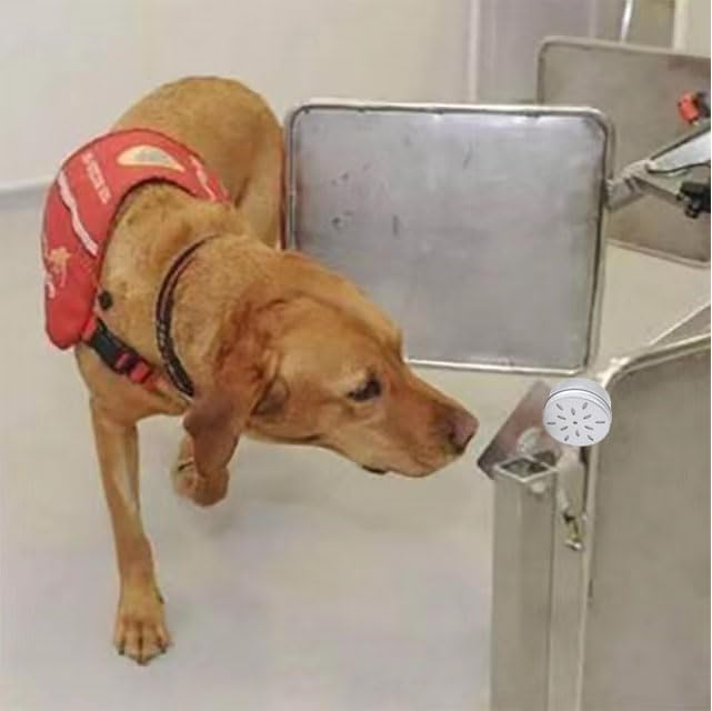 CHENGXINWENHUA Dog skent Work tins 6 Pack，Dog Scent Training Box，Dogs Nose Work containers (1, 4 Jars+6 Magnetic Box)