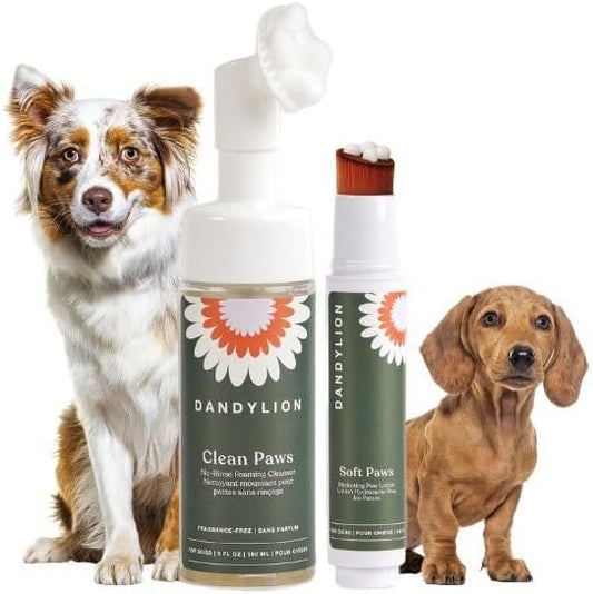 Dandylion Daily Paw Care Kit – No‑Rinse Paw Cleaner + Hydrating Paw Lotion with Brush – Gentle, pH‑Balanced, Fragrance‑Free, Plant‑Based