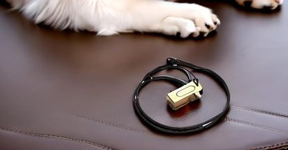 Mythrojan Brass and Steel Pet Training Clicker Puppy Dog Training Cricket Clicker U.S. Engraved WII Military Gear Metal Clicker