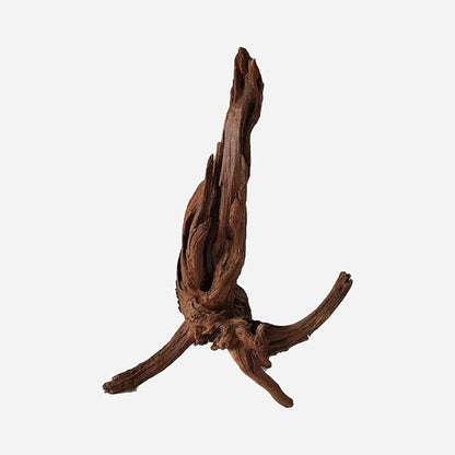 LYPHARD AQUARIUMS Natural Driftwood for Aquarium Decor, L16.14×W9.84×H19.29 Inches Large Drift Wood Decorations for Reptile Hide, Fish Tank, Optional Shapes