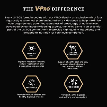 VICTOR Super Premium Dog Food – Chicken Meal & Brown Rice for All Normally Active Dogs of All Life Stages – Gluten-Free, Digestive & Immune Support, Ideal for Dogs with Meat Protein Allergies, 15 lb