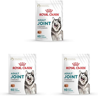 Royal Canin Joint Dog Supplement Soft Chews for Adult Dogs, 60 Count (Pack of 3)