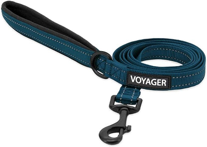 Best Pet Supplies Voyager Reflective Dog Leash or Collar with Neoprene Handle, for Small, Medium, and Large Breed Puppies, Cute and Heavy Duty for Walking, Running and Training - Blue (Leash), M