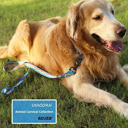 azuza Dog Collar and Leash Set, Adjustable Dog Collar with Matching Leash for Medium Dog, Blue Rainbow Unicorn Dog Collar Leash Combo Set