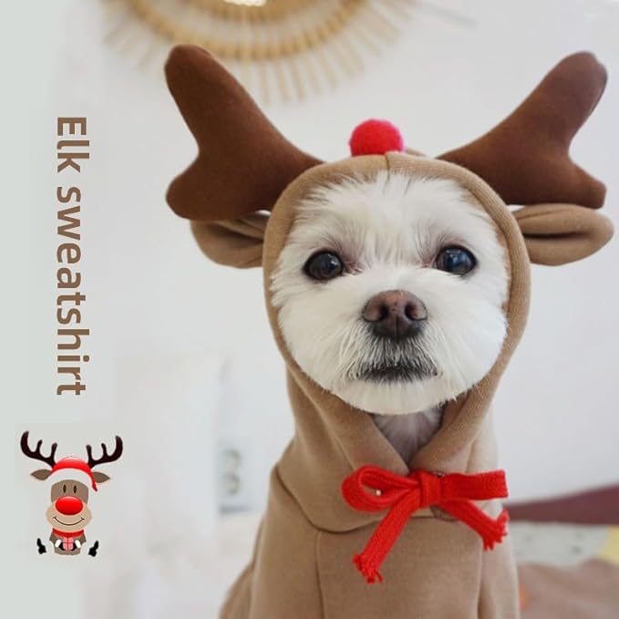 Warm Dog Winter Clothes Cute Fruit Dog Coat Hoodies Fleece Pet Dogs Costume Jacket for French Bulldog Chihuahua Ropa para Perro(Coffee,XS)