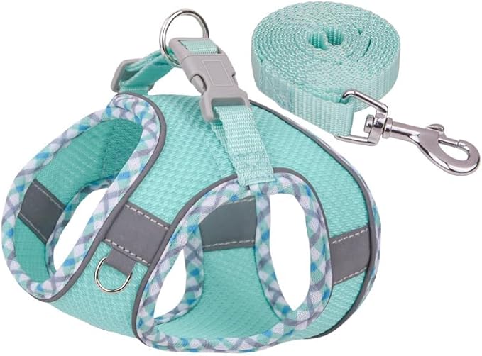 Dog Harness and Leash Set, No Pull Adjustable Reflective Pet Harness for Small Medium Dogs, Step in Vest Harness Easy Walk Dog Harness Outdoor Hiking Training for Small Dogs, Cats(Green, XS)