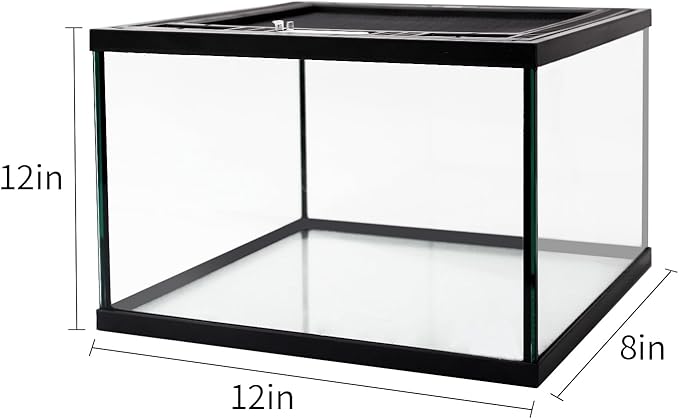 waazoorep Reptile Glass Terrarium Tank 12 * 12 * 8" Full View with Top Ventilation, Amphibians Box Habitat Enclosure Cage for Frog,Spiders,Dubia Cockroach,Praying Mantis,Cricket,Tarantula,Hermit Crab