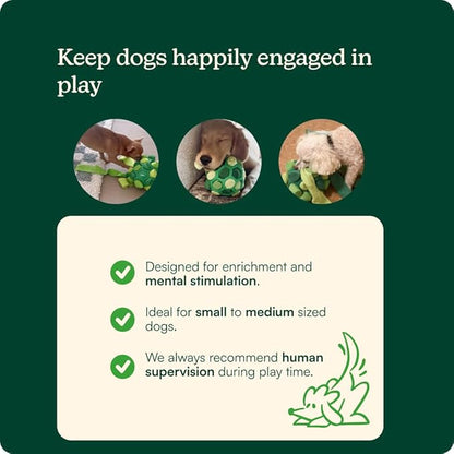 Reggie Forager Ball for Dogs | Interactive Treat Dispensing Toy for Mental Stimulation | Reduces Boredom, Stress & Hyperactivity | Enrichment Ball for Small to Medium Sized Dogs | Durable & Washable