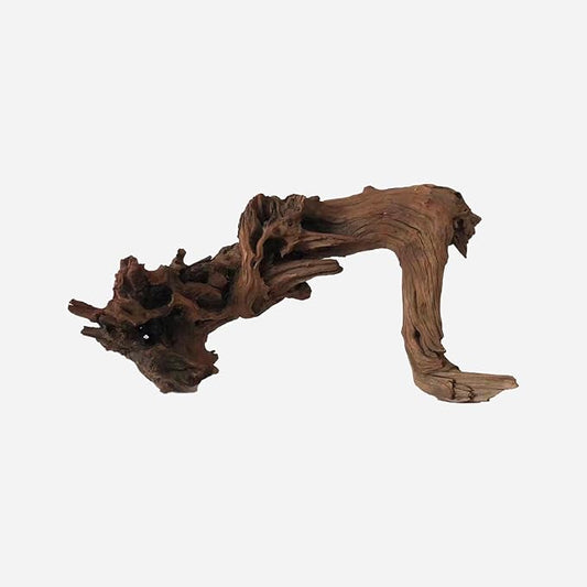 LYPHARD AQUARIUMS Natural Driftwood for Aquarium Decor, L19.69×W7.09×H9.84 Inches Large Drift Wood Decorations for Reptile Hide, Fish Tank, Optional Shapes