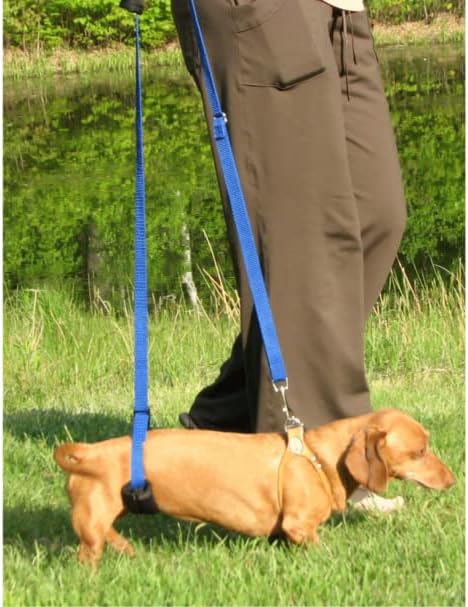 GINGERLEAD Dog Support Sling Harness, X-Small Fits Little Pets Under 25 lbs or Dachshunds with IVDD, Spinal Disc Disease, or Back Injuries. Assist Old or Recovering Pets. Chest Harness NOT Included.