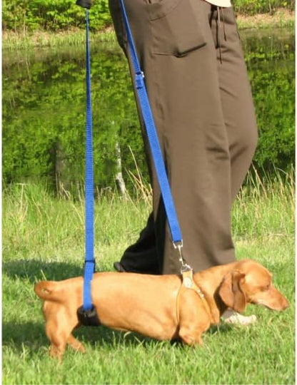 GINGERLEAD Dog Support Sling Harness, X-Small Fits Little Pets Under 25 lbs or Dachshunds with IVDD, Spinal Disc Disease, or Back Injuries. Assist Old or Recovering Pets. Chest Harness NOT Included.