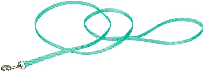 Coastal Pet Single-Ply Dog Leash - Sturdy Pet Leash - Comfortable & Stylish - Resists Fraying - Vibrant & Fade-Resistant Color - Teal, 3/8" x 6'