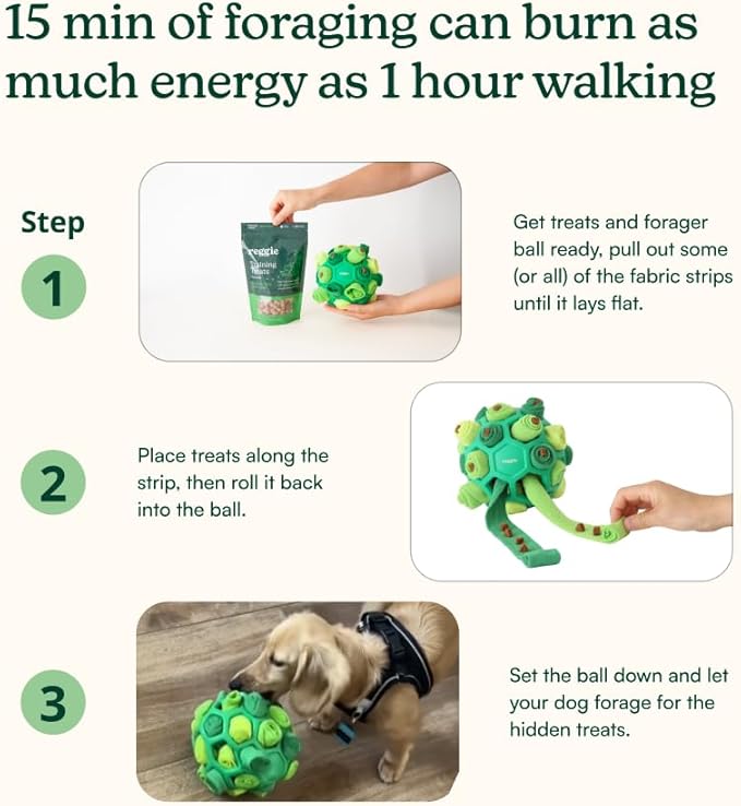 Reggie Forager Ball for Dogs | Interactive Treat Dispensing Toy for Mental Stimulation | Reduces Boredom, Stress & Hyperactivity | Enrichment Ball for Small to Medium Sized Dogs | Durable & Washable