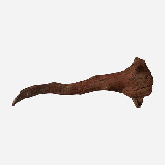 LYPHARD AQUARIUMS Natural Driftwood for Aquarium Decor, L18.9×W4.72×H8.27 Inches Large Drift Wood Decorations for Reptile Hide, Fish Tank, Optional Shapes