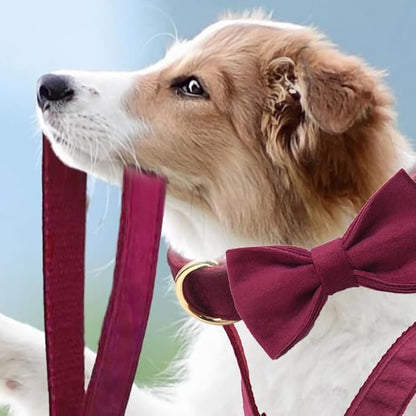 Personalized Velvet Dog Collars with Pet Name Phone Number Engraved, Custom Adjustable Soft Collar with Metal Buckle for Small Medium Large Dogs, Dog Leash and Bow Tie Available -Claret