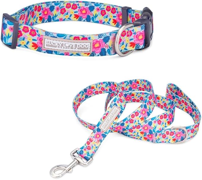 Lucky Love Dog - Adjustable Dog Collar and Leash Set with Easy Click Buckle for Small to Large Dogs, Durable, & Comfortable Collar for Male & Female Dogs, Puppies & Adult Ones- Valentina Combo, Small