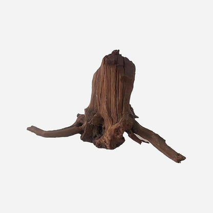 LYPHARD AQUARIUMS Natural Driftwood for Aquarium Decor, L20.08×W7.48×H12.99 Inches Large Drift Wood Decorations for Reptile Hide, Fish Tank, Optional Shapes