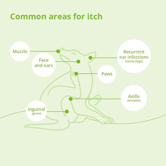 Atopivet Skin Care Collar for Dogs and Cats Larger Than 22 lbs