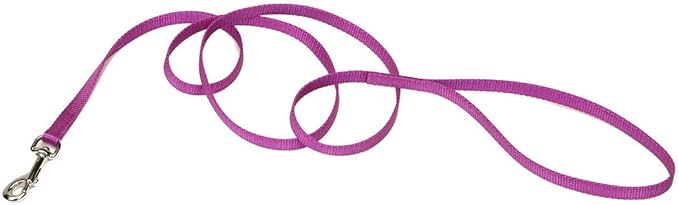 Coastal Pet Single-Ply Dog Leash - Sturdy Pet Leash - Comfortable & Stylish - Resists Fraying - Vibrant & Fade-Resistant Color - Orchid, 3/8" x 6'