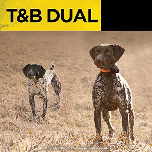 Dogtra T&B Dual Dial 1-Dog Remote Training and Beeper Collar - 1.5-Mile-Long Range, Sports Upland Hunting, Fully Waterproof, Rechargeable, Static, Locate - Includes PetsTEK Trainer Clicker