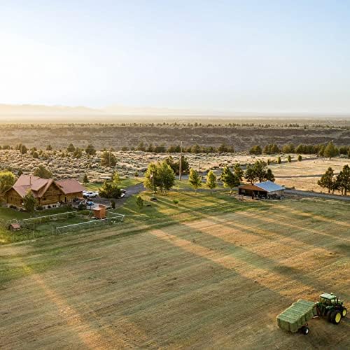 Blue Mountain Hay | Fresh Organic Oat Hay (40 Ounce) | Good for Sensitive Digestion | High-Altitude Hay Pet Food for Rabbits, Guinea Pigs, Chinchillas, Hamsters, and Other Small Pets