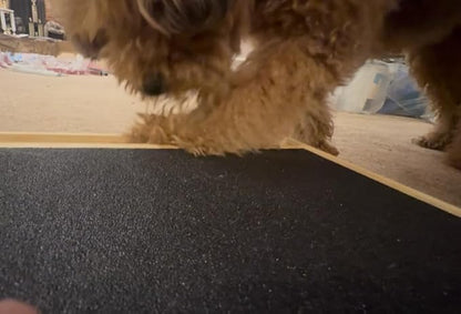 Dog Scratch Pad Nails Grinder Trimmers Clipper Board Paw Alternative pet Claw cat k9 Sanding Removal Emery File Treat Box Compartment Removeable lid Puppy Training