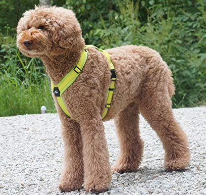 Hakusan Zero Harness (XXS, Lime x Yellow)