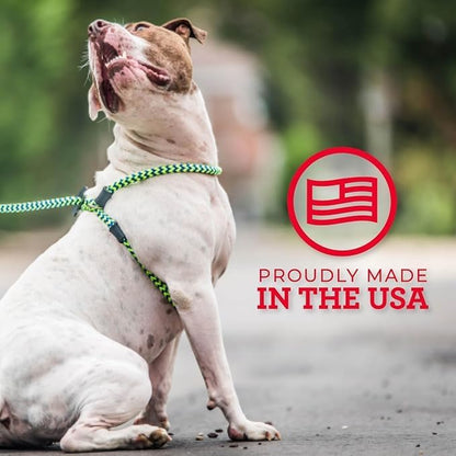 Harness Lead No Pull Dog Harness and Leash Set, Anti Pull Dog Harness for All Breeds and Sizes, One-Piece Cushioned Rope Design Safely Prevents Escaping and Pulling (Small/Medium, Reef)