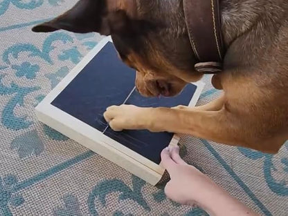 Dog Scratch Pad Nails Grinder Trimmers Clipper Board Paw Alternative pet Claw cat k9 Sanding Removal Emery File Treat Box Compartment Removeable lid Puppy Training