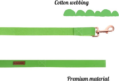 Elegant little tail Dog Collar and Leash, Girl or Boy Durable Pet Collar, Leather Dog Collar Adjustable Dog Collars for X-Small Dogs