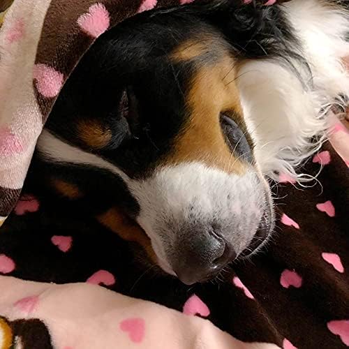 Original Snuggle Puppy Essentials Starter Kit - Heartbeat Puppy for Dogs - Calming Aid with 3 Heat Packs, Puppy Teething Toy, Dog Chew Toy and Dog Blanket
